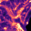 Lung CT uncertainty σ, axial slice 33